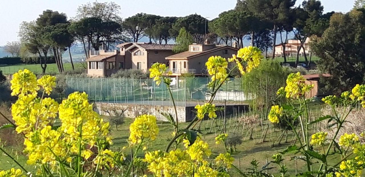 La Casa Nella Prateria Misano Adriatico Exterior foto
